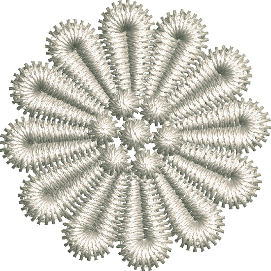 Chrysanthemum-N209375