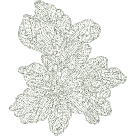 Oriental Lily-N1209290A