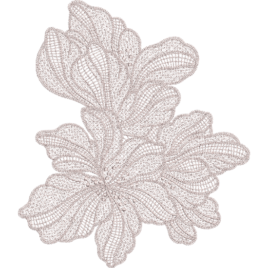 Oriental Lily-N1209290A