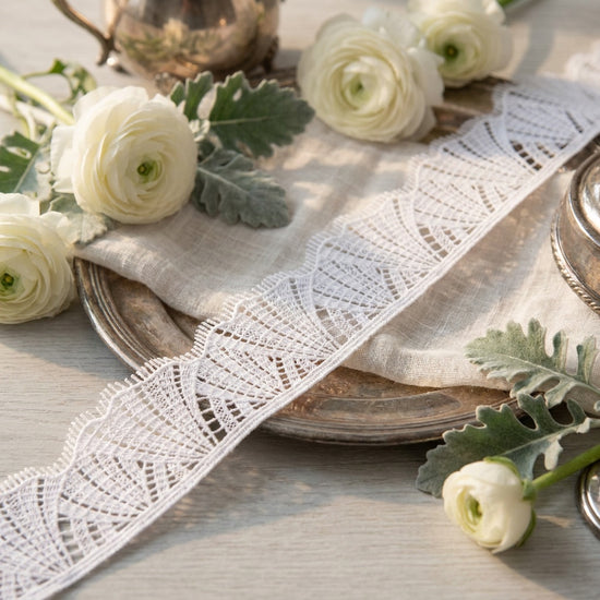 LaceCraze Fan Stripe Scallop Lace Trim