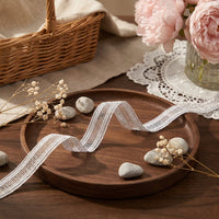 LaceCraze Vertical Stripe Openwork Lace Ribbon