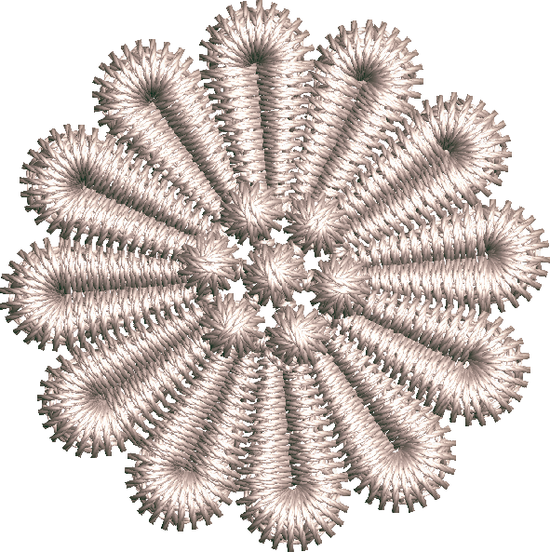 Chrysanthemum-N209375