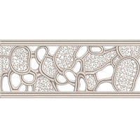 Organic-Patterned Lace Trim Embroidery-SX0093